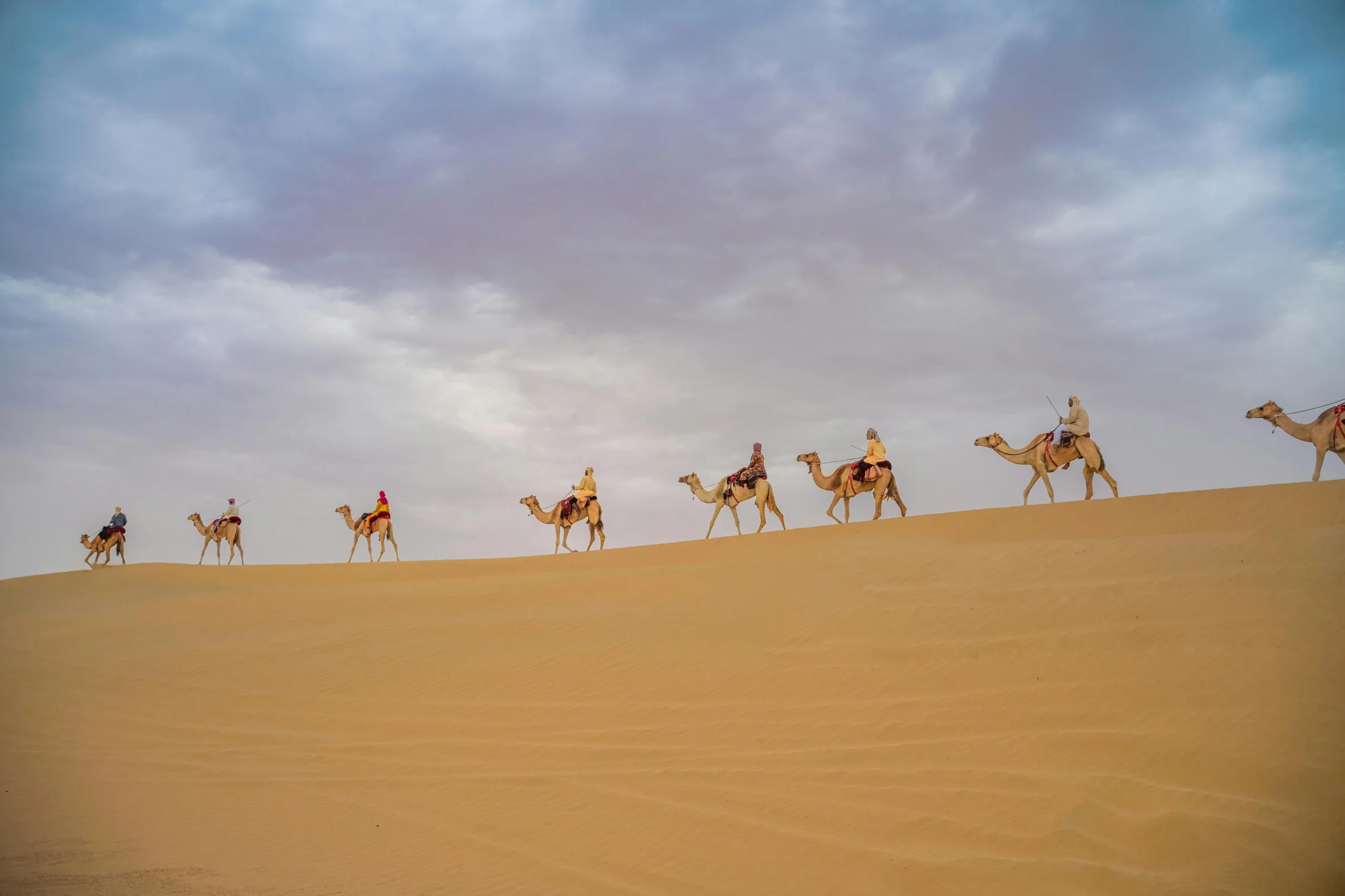 Jodhpur Camel Safari